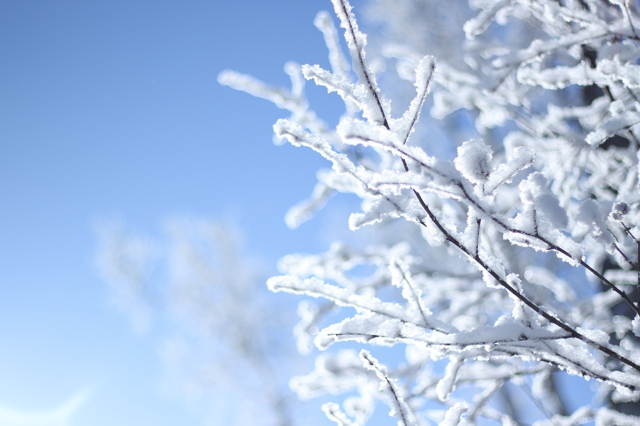 雪景色　観光地